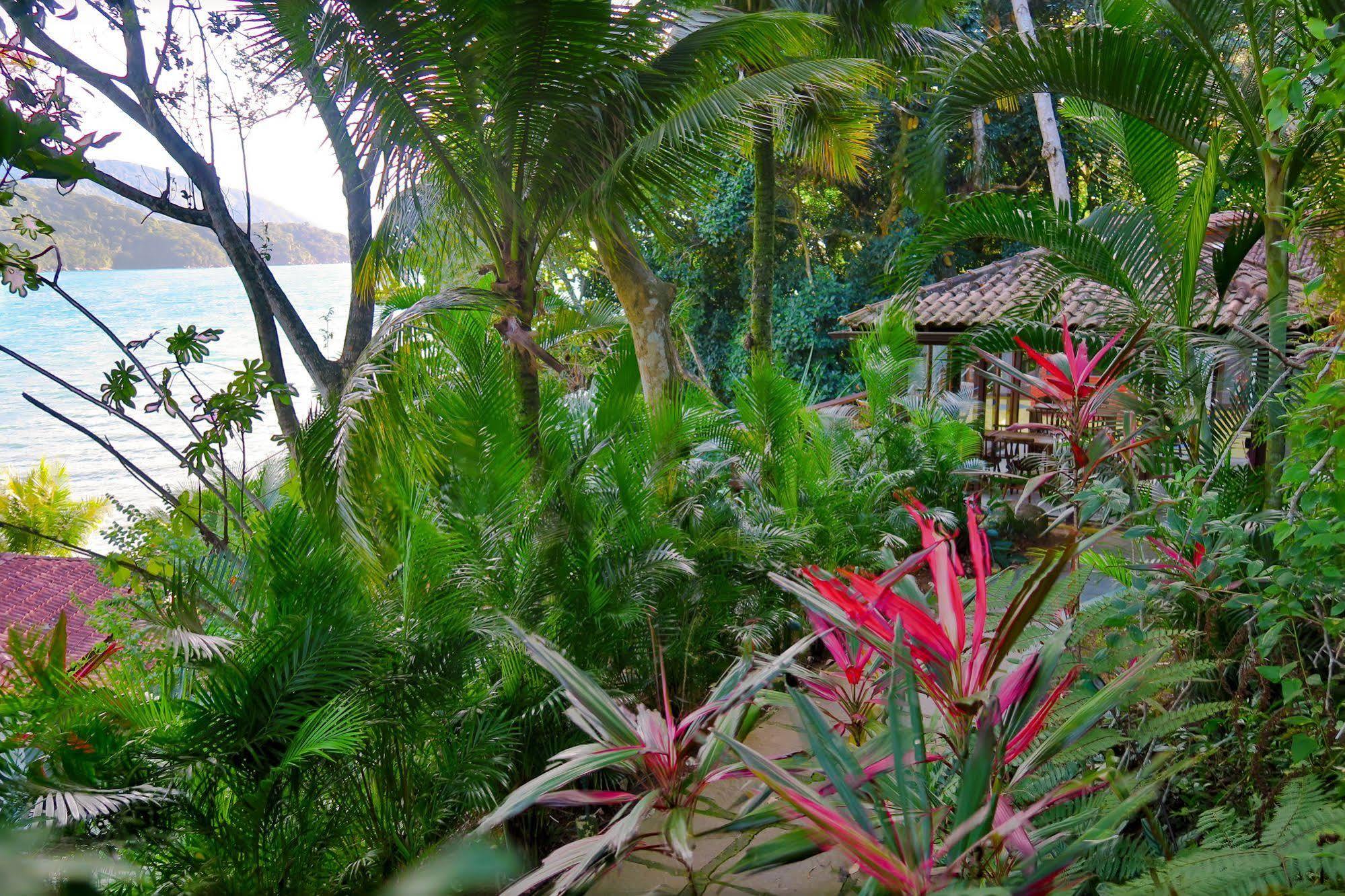 Atlantica Jungle Lodge Vila do Abraao Bagian luar foto